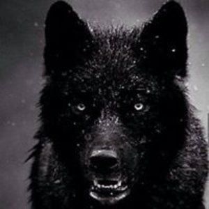 Meet your Posher, Bobby